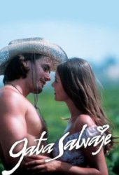 Дикая кошка