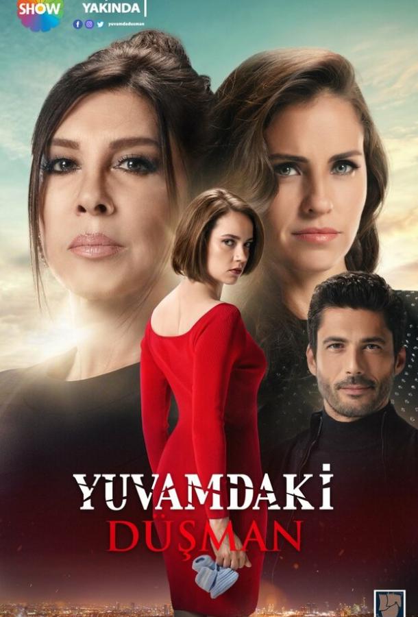 Враг в моем доме Враг в моем доме