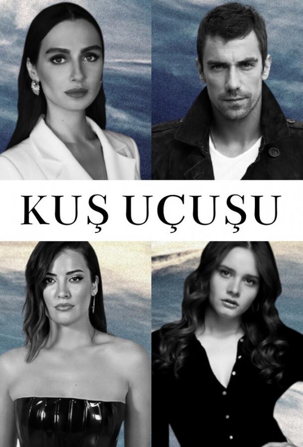 Полёт птицы Полёт птицы